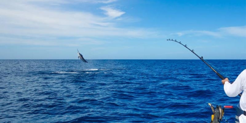 Fishing-in-the-sea.jpg