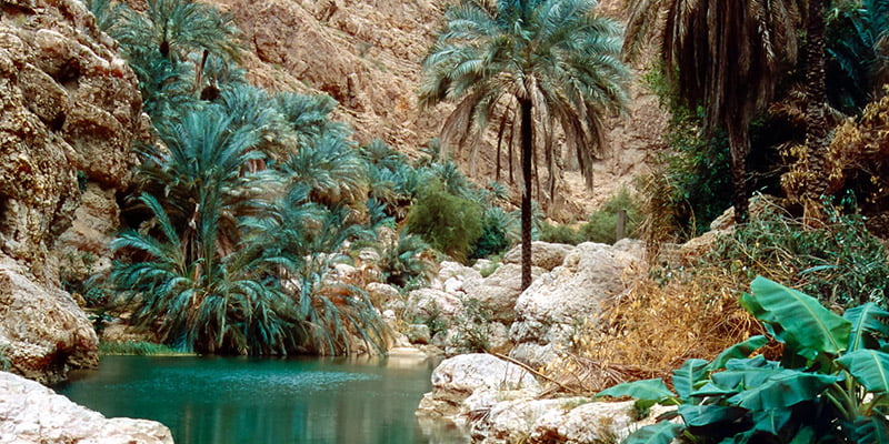 WADI SHAB.jpg